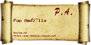 Pap Amália névjegykártya